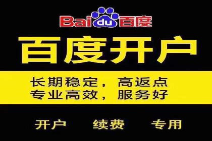 百度推广服务费案例：揭秘成功企业运营秘诀