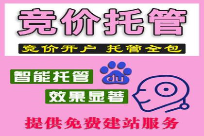 百度竞价推广公司成功案例：如何快速提升品牌曝光度